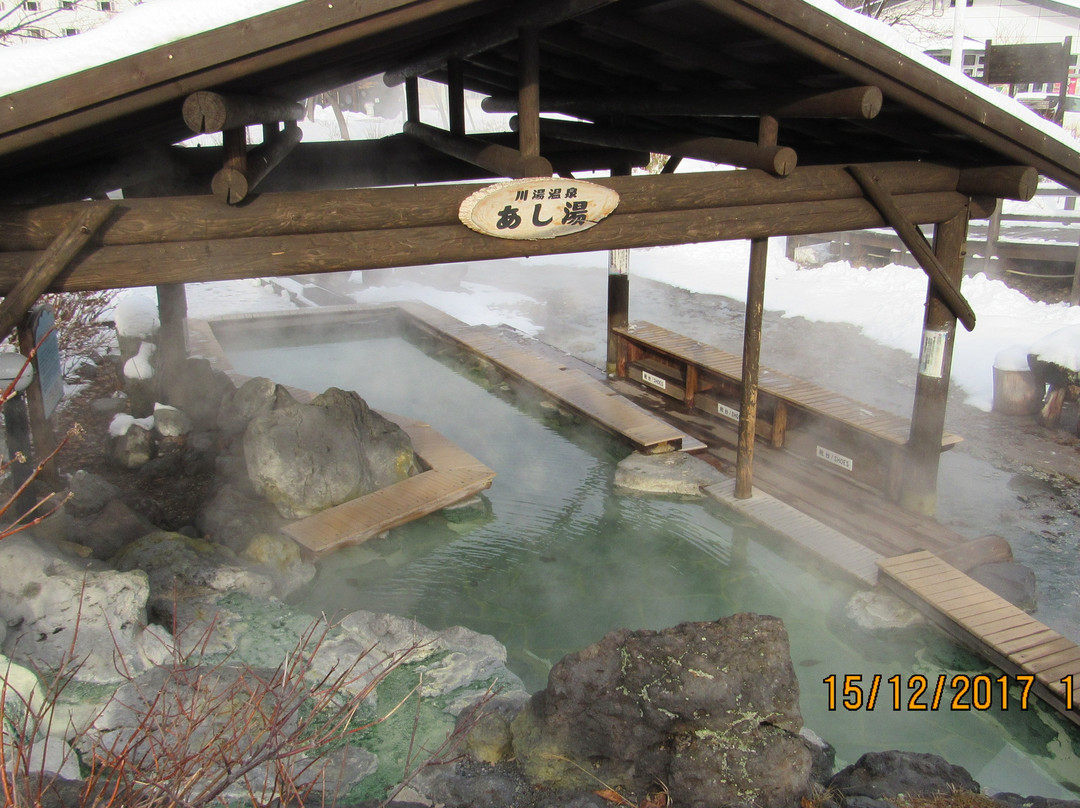 Kawayuonsengai no Ashiyu-弟子屈町必去景点