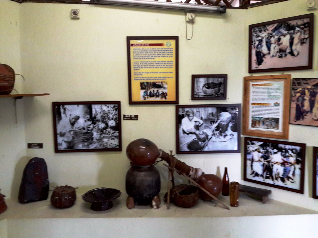 Silvassa Tribal Museum景点图片