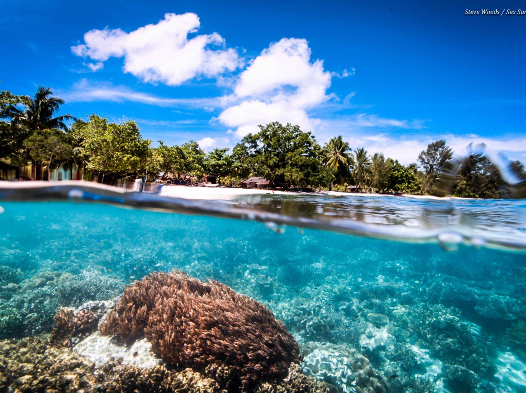 Sea Sanctuaries Trust-四王岛必去景点