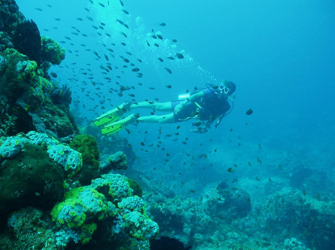 Frontier Scuba-葡多咖蕾拉必去景点