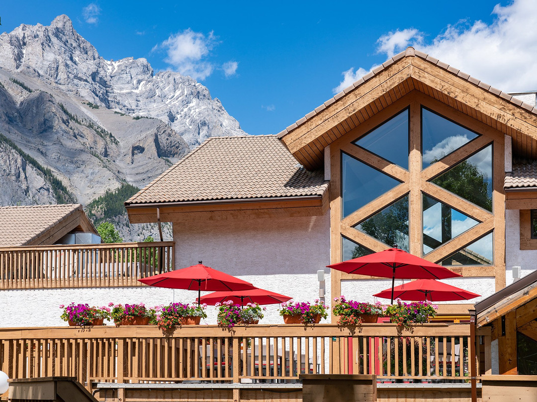 Bighorn No. 8餐馆和美食-Alpha Bistro