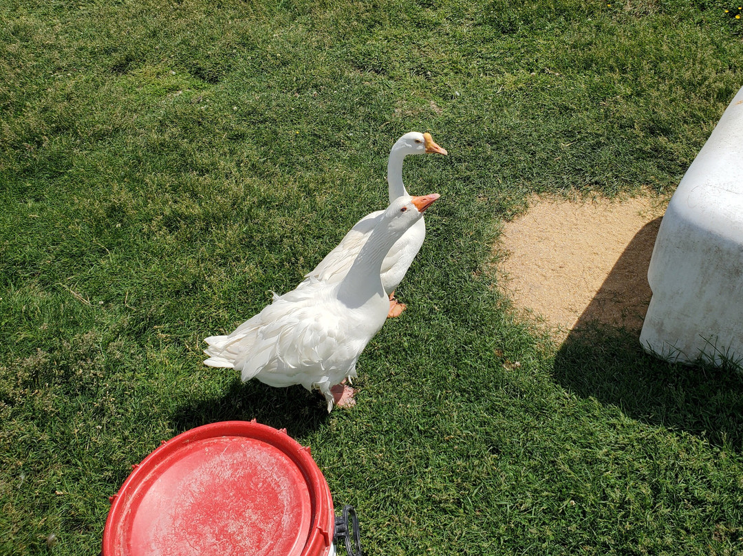 Domaine Des Trois Vents