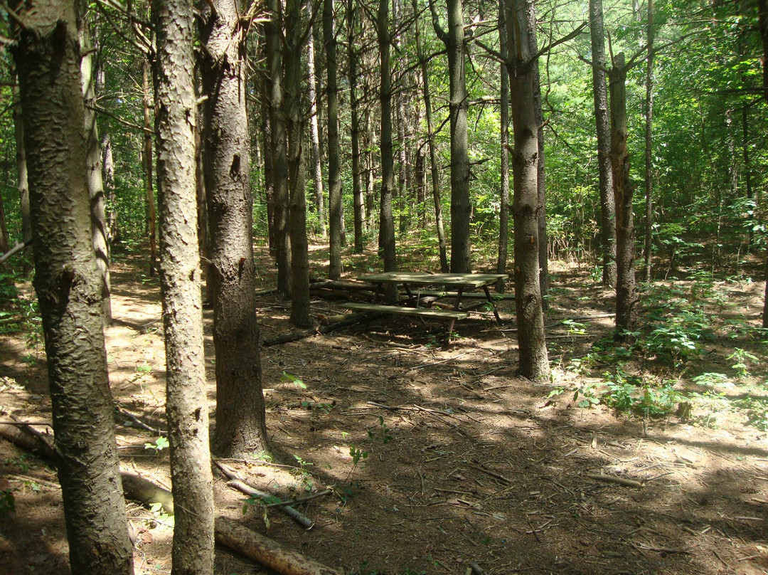 Paris旅游攻略图片