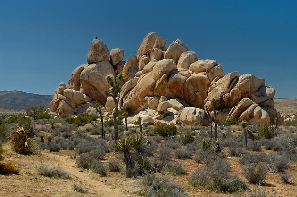 隐身谷-约书亚树国家公园必去景点
