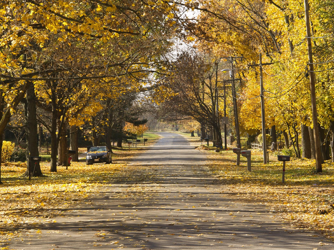 Oswego旅游攻略图片