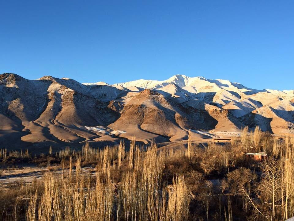 纳坦兹旅游攻略图片