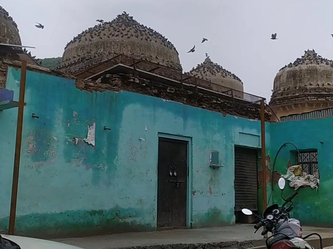 Talvriksha