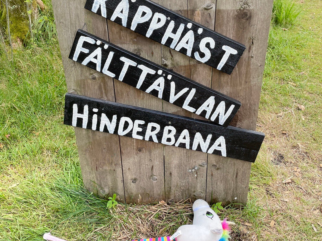 Gunnagård Cafe