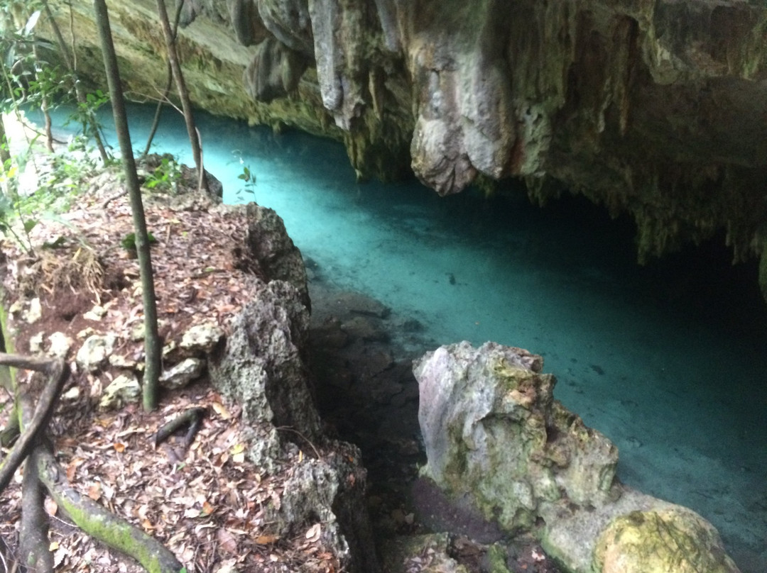 Cenotes Sac Actun景点图片