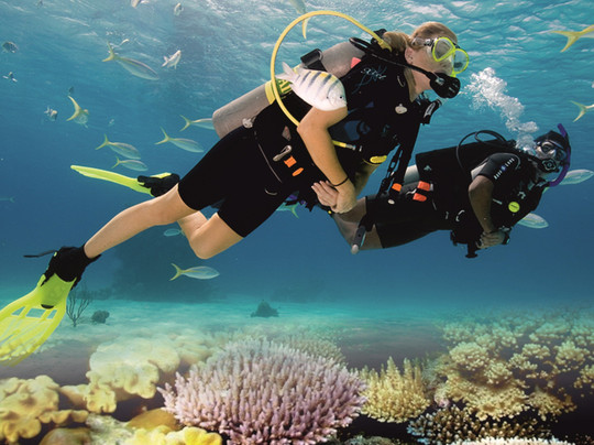 Goa Safari Adventure