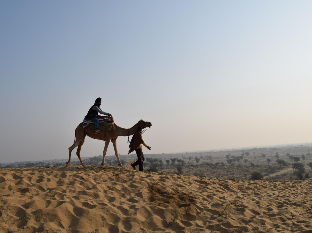 Bikaner Camel Safari景点图片