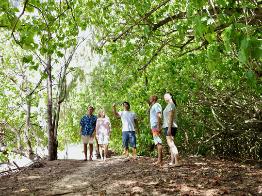 夏威夷吉普之旅