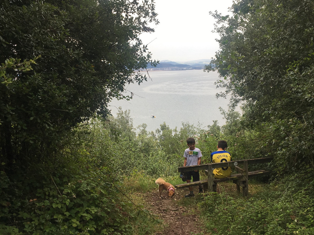 Mumbles Hill Local Nature Reserve景点图片