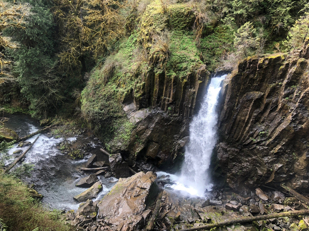 Drift Creek Falls Trail景点图片