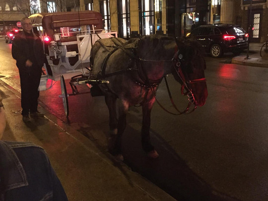 Chicago Horse & Carriage Ltd