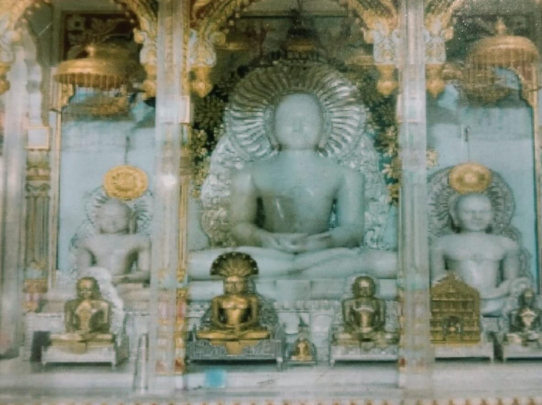 Shri Parshvanath Digambar Jain Mandir景点图片