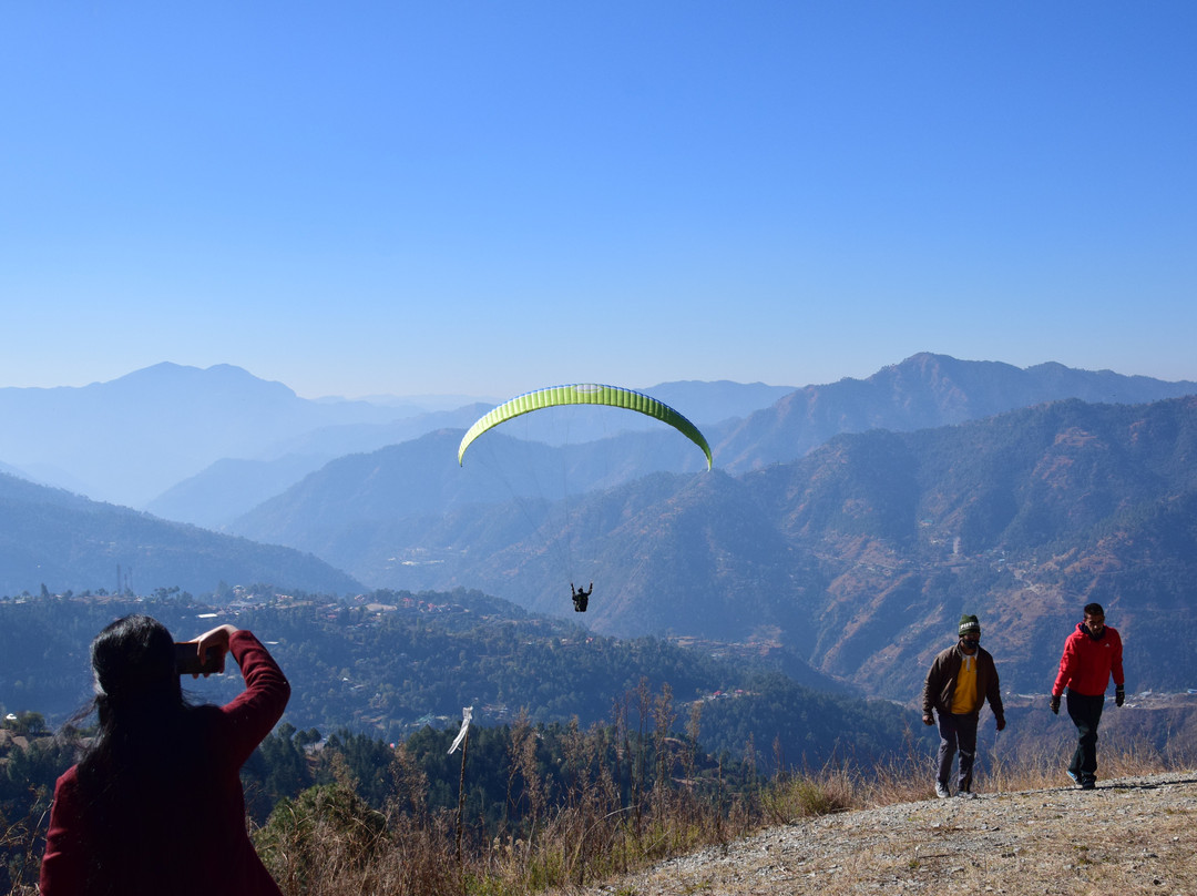 The Glide Inn Paragliding Shimla景点图片