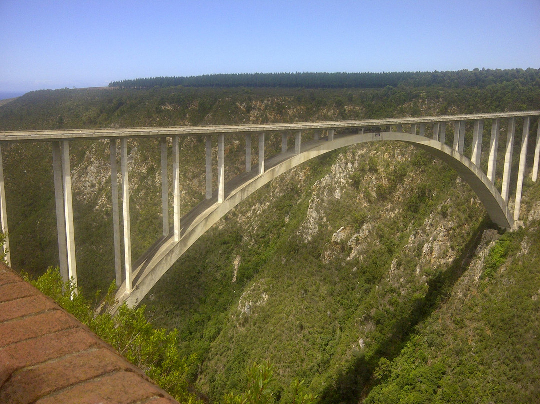 Bloukrans Bungy - Face Adrenalin-Tsitsikamma National Park必去景点