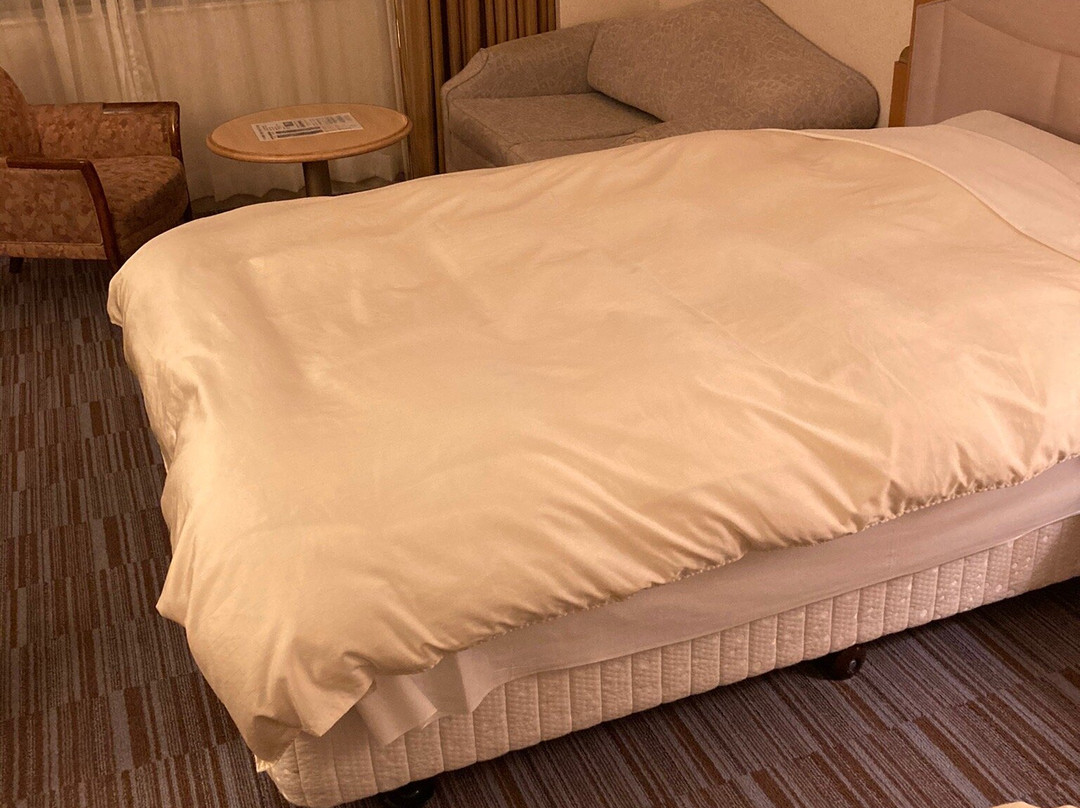 Rihga Royal Hotel Niihama主图