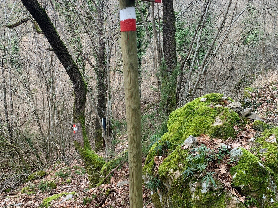 Riserva Naturale Regionale dei Monti Navegna e Cervia景点图片