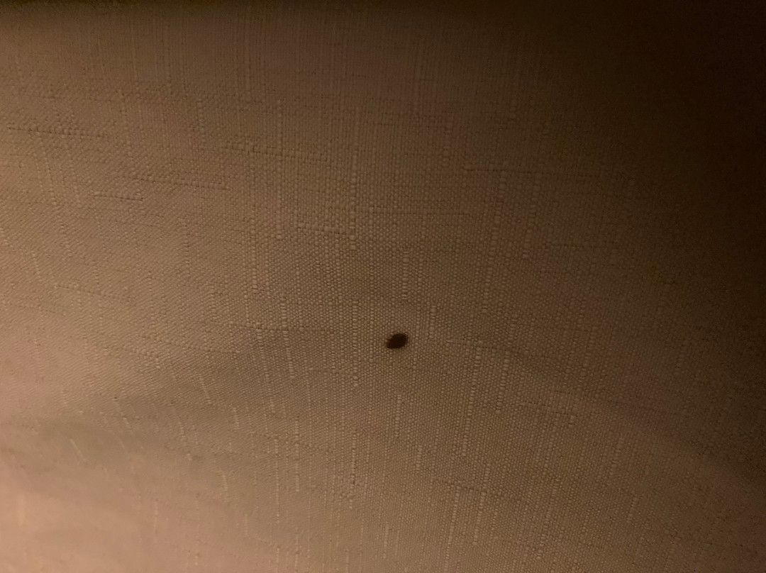 Microtel Inn & Suites by Wyndham Pearl River/Slidell主图