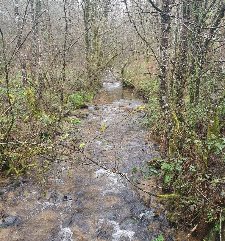Fervenza de Brañas-Toques必去景点