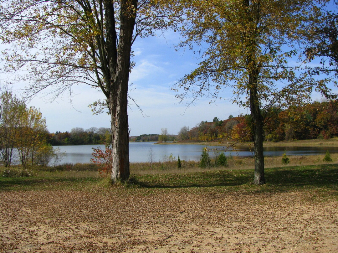 Lake Emily Park景点图片