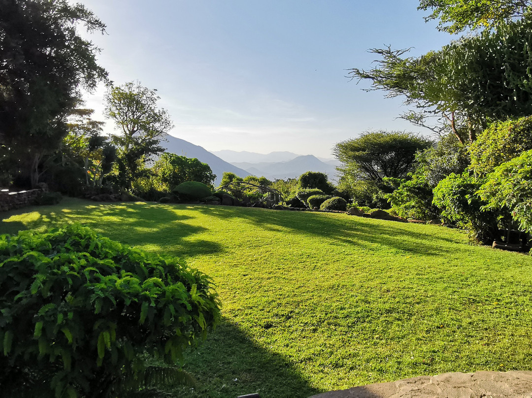 Desert Rose Kenya主图