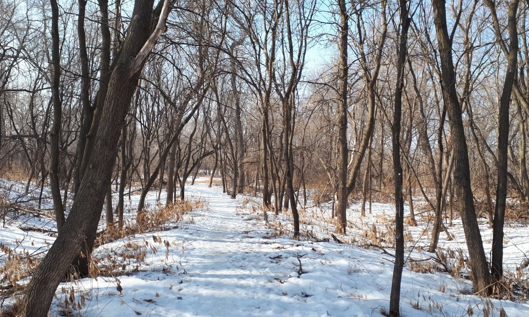 McBeth House-温尼伯必去景点