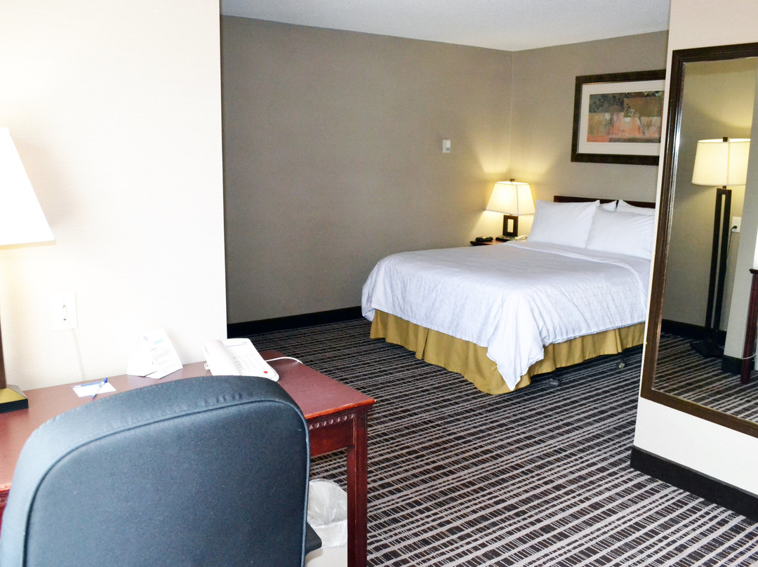 Holiday Inn Express Red Deer By IHG主图