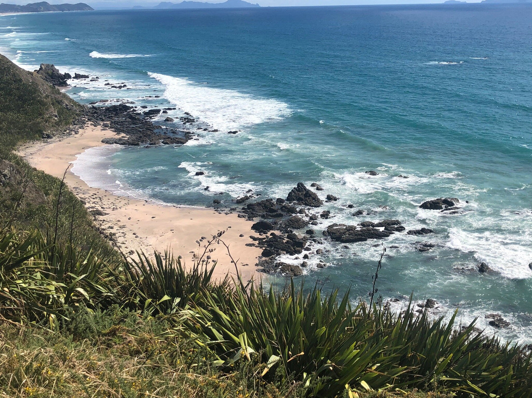 Te Arai Point-Te Arai必去景点