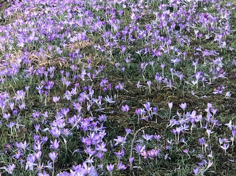 Evenley Wood Garden-Evenley必去景点