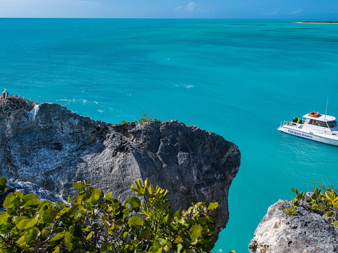 Flamingo Divers-普罗维登西亚莱斯必去景点