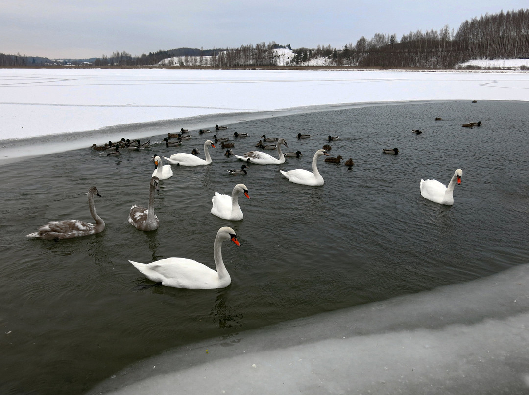 Gorodishhenskoye Lake景点图片