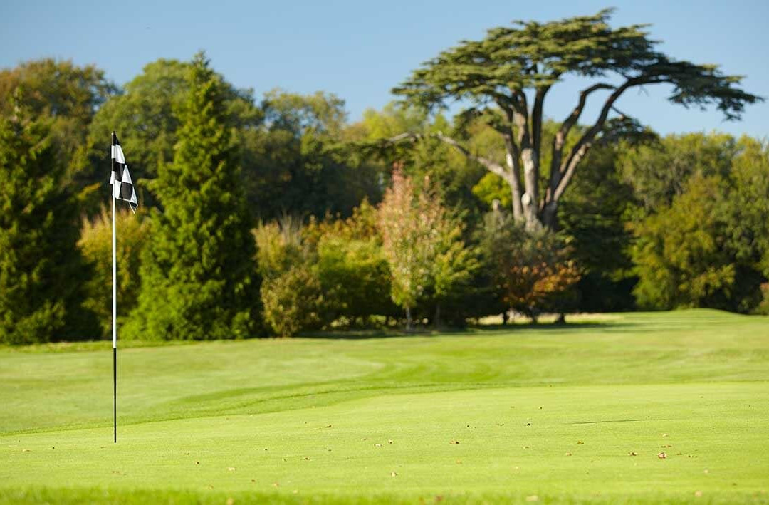 Golf At Goodwood景点图片