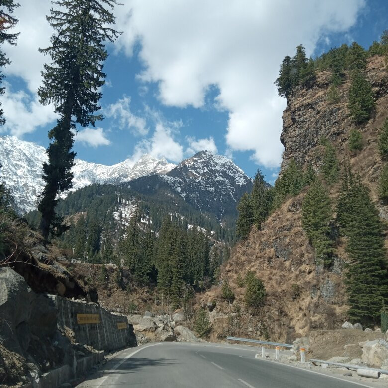 Solang Heights Hotel And Cafe主图