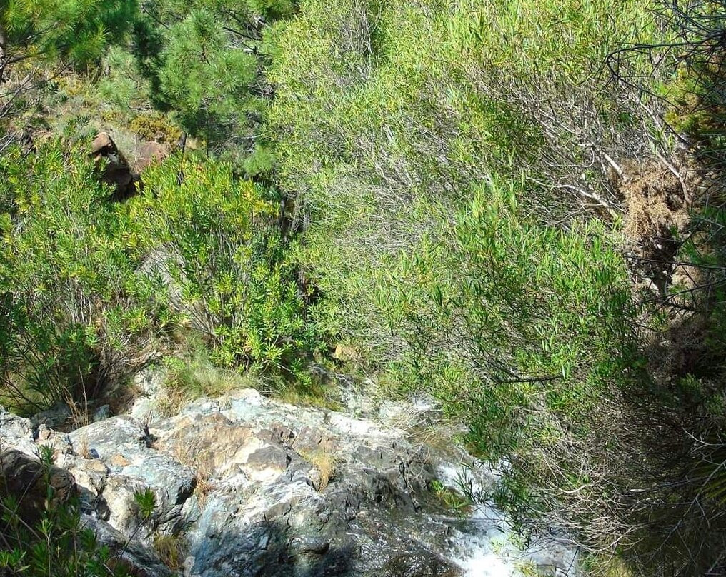 Los Reales de Sierra Bermeja-埃斯特波纳必去景点