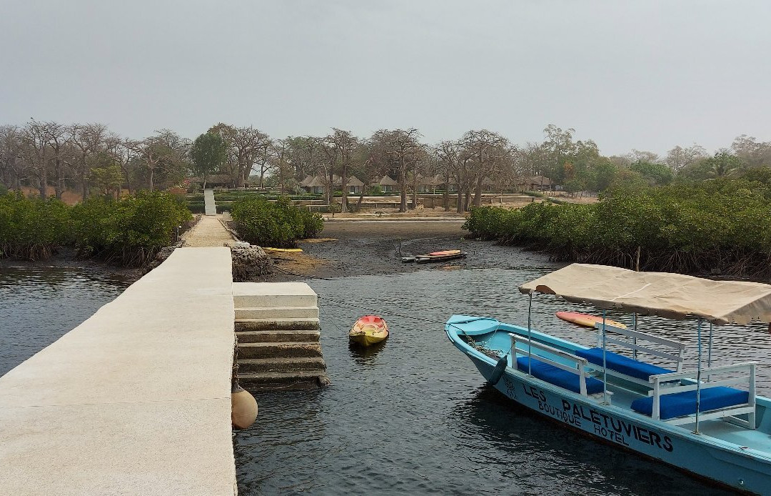 Les Paletuviers Boutique Hotel主图