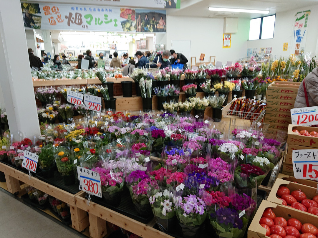 Michi-no-Eki Tahara Mekkun House-田原市必去景点