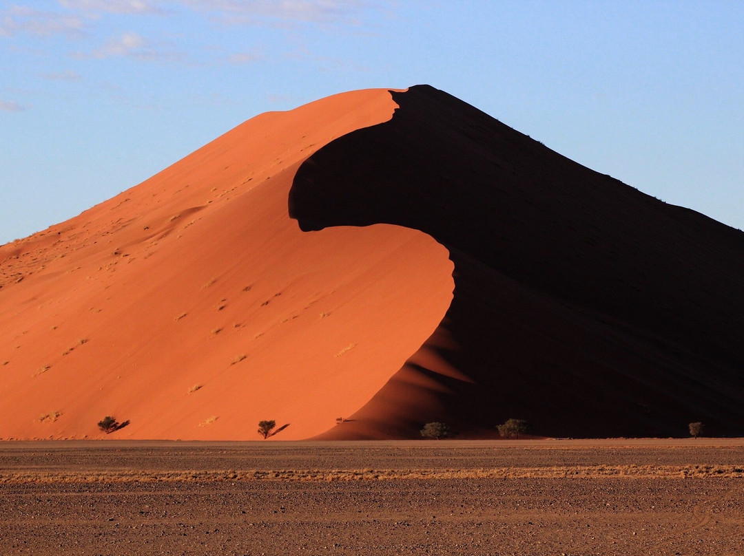 Embrace African Tours-开普敦中心区必去景点