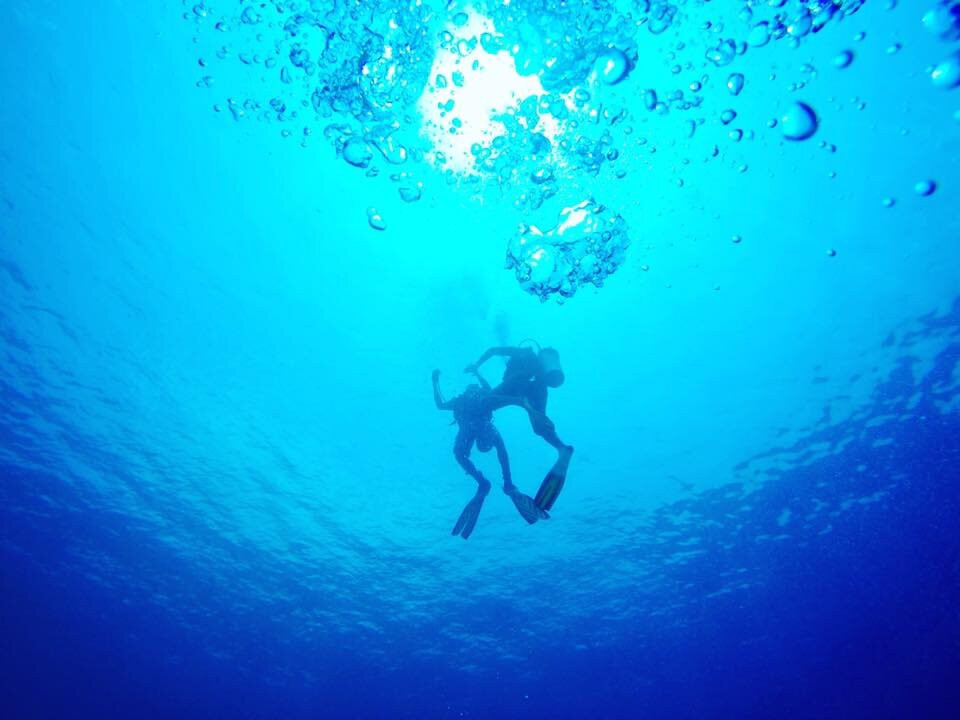 Dhiffushi Dive and Recreation-Dhiffushi Island必去景点