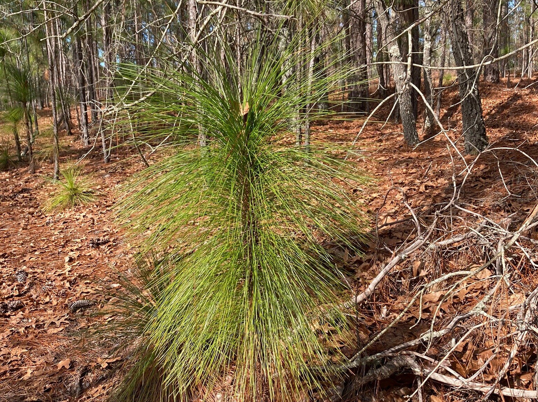 Sesquicentennial State Park-哥伦比亚必去景点