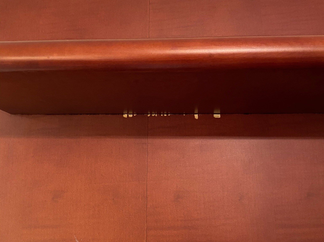 帕鲁斯酒店主图