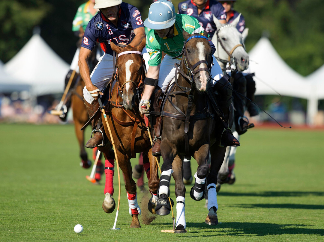 Newport Polo-Portsmouth必去景点