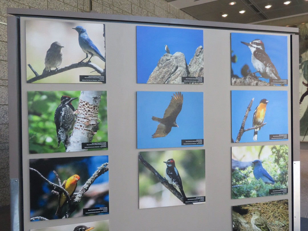 Lincoln Borglum Visitor Center-基斯通必去景点