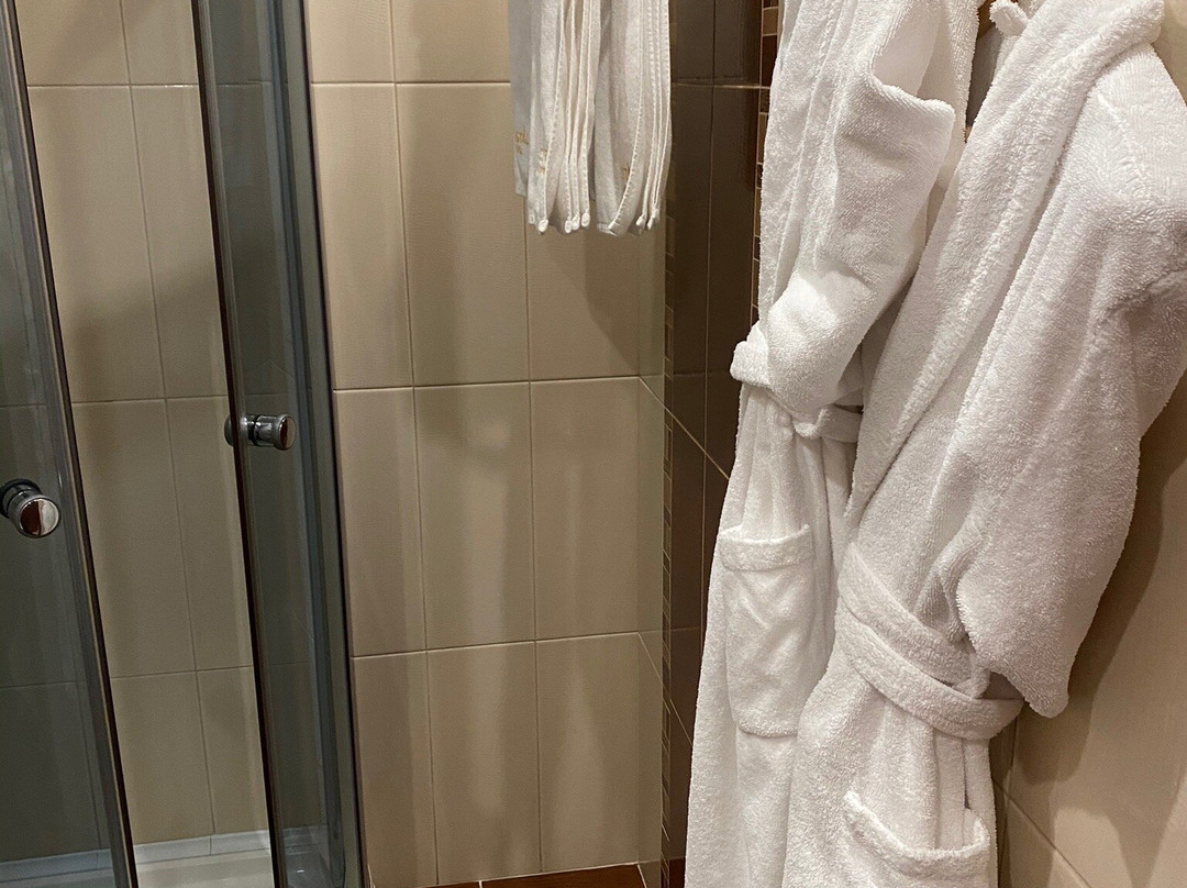 Rasstal Spa Hotel主图