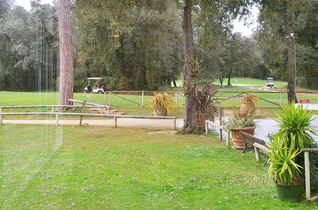 Golf Club Tirrenia景点图片