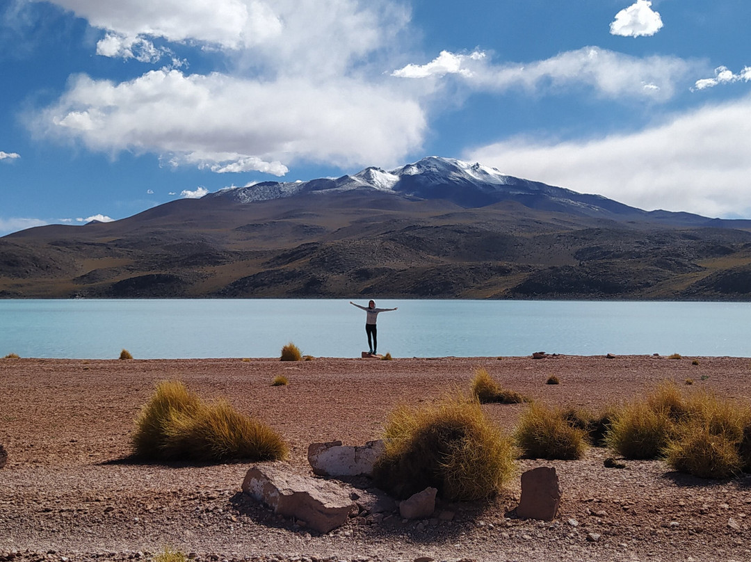 Natural Adventure - Day Tours景点图片