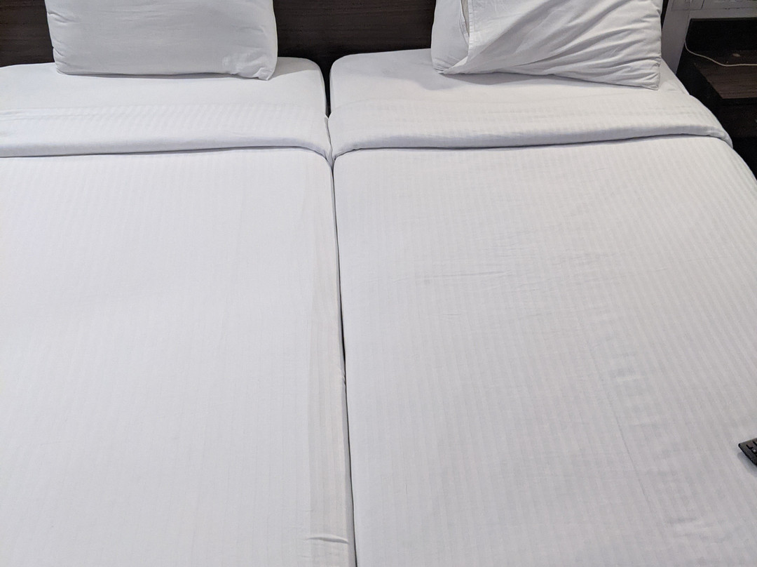 潘特纳加生姜酒店主图