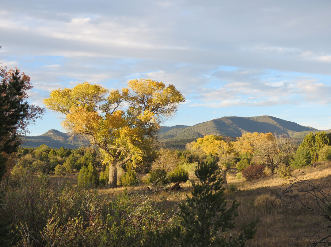 The Dragonfly Trail-Silver City必去景点